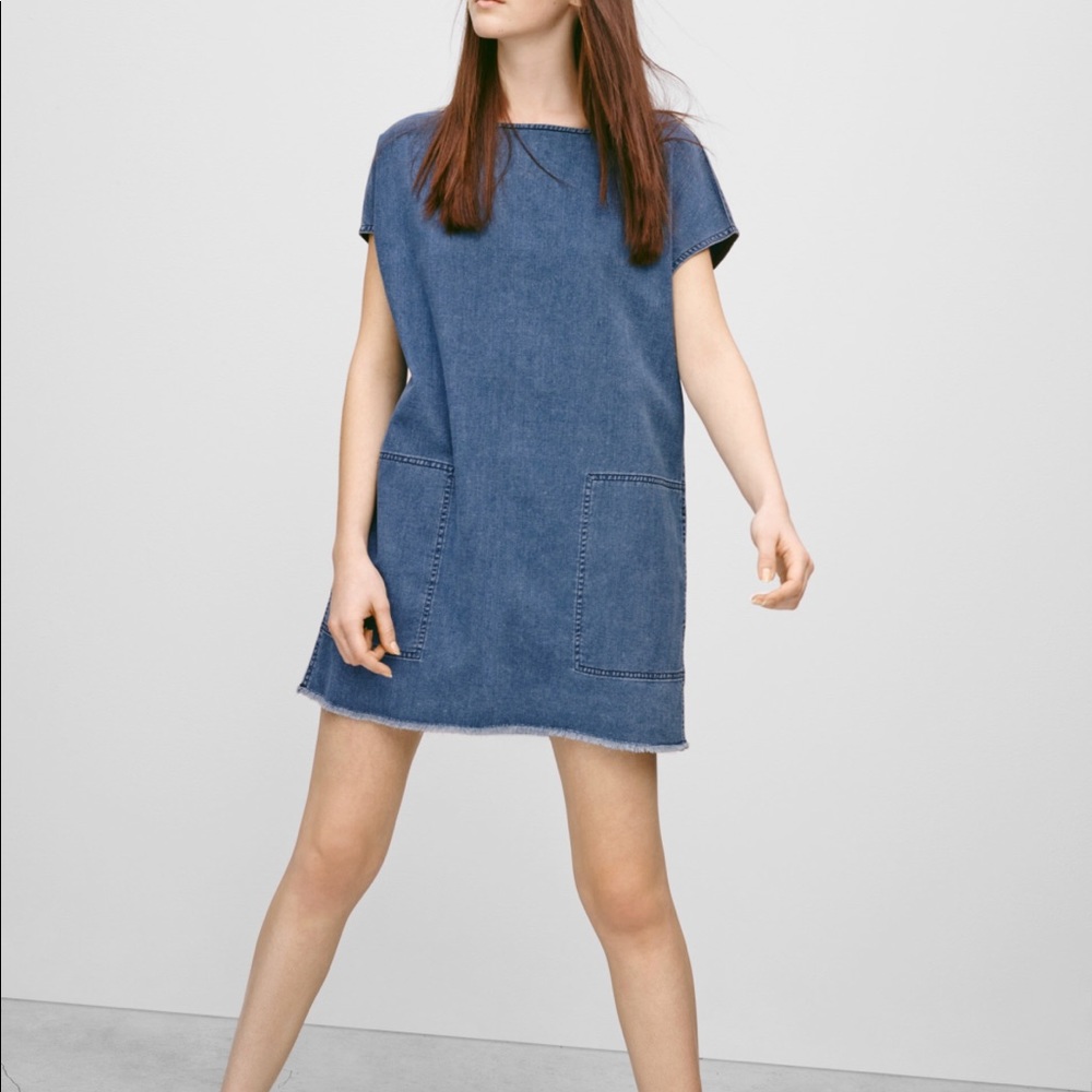 Aritzia Nori Dress in blue denim (denim dress)